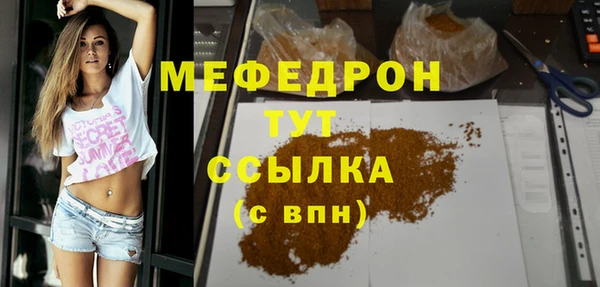 индика Бронницы